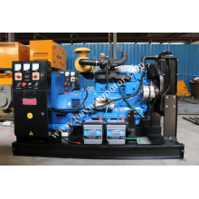 Weichai Diesel Engine Open Type Diesel Power Generation 5kw ~ 250kw